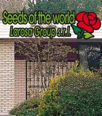 Larosa Group s.r.l