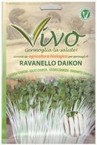 germogli ravanello daikon