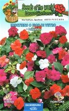 Impiantes o fior di vetro semi fiori