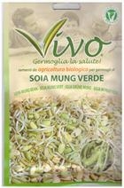 germogli soia mung verde